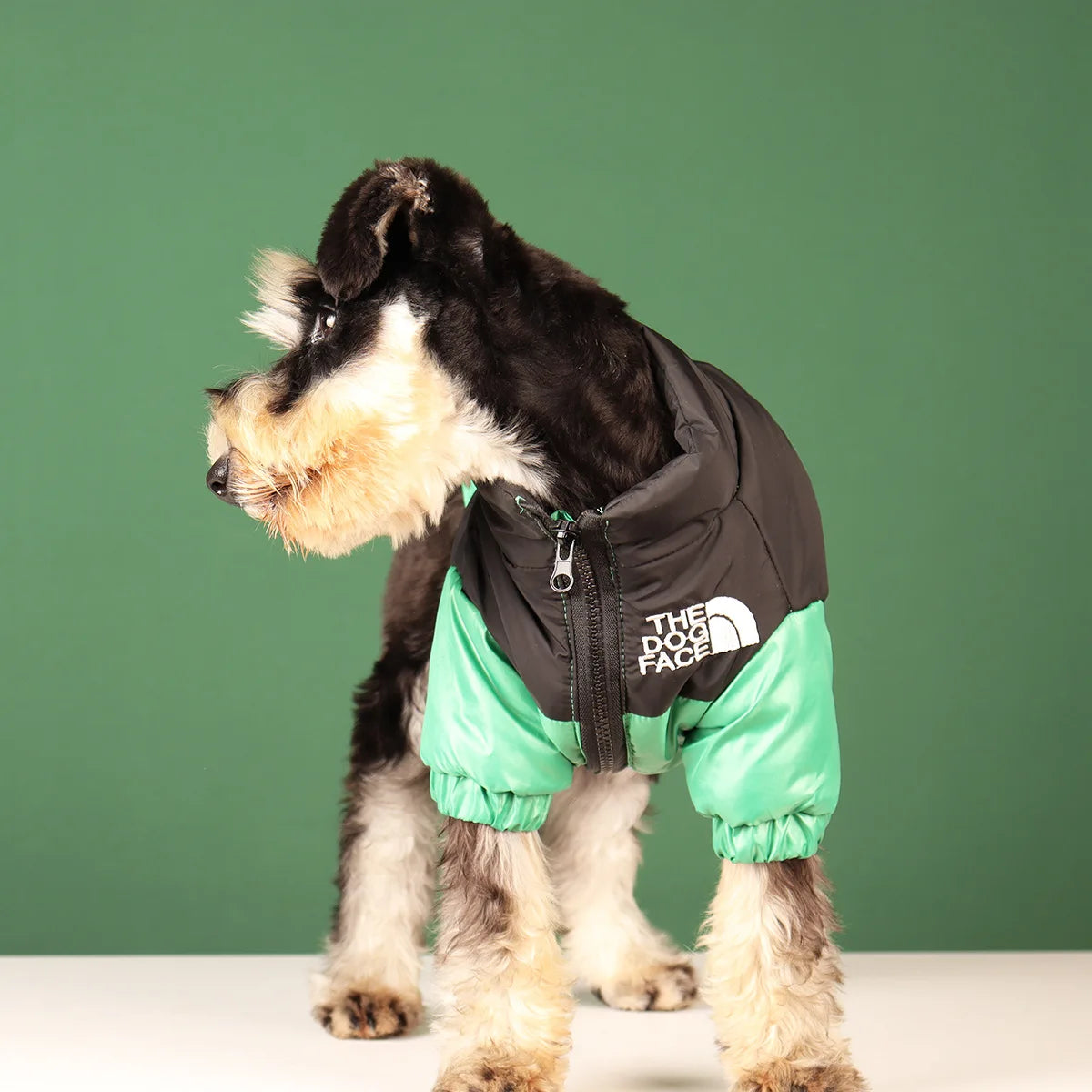 Cozy Canine Winter Jacket