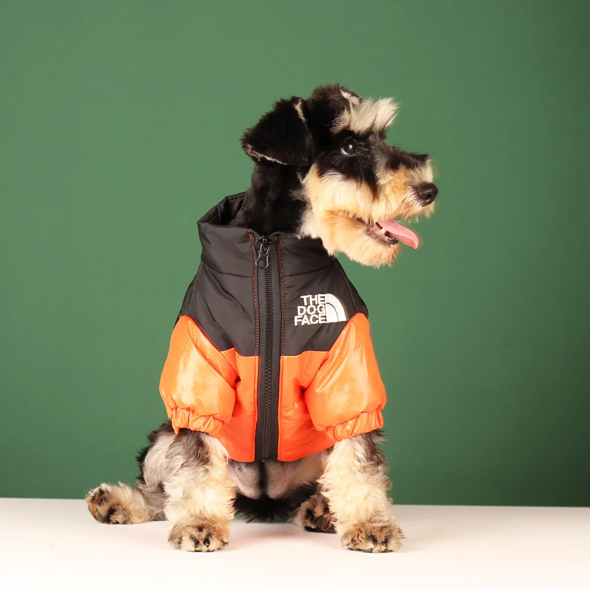 Cozy Canine Winter Jacket