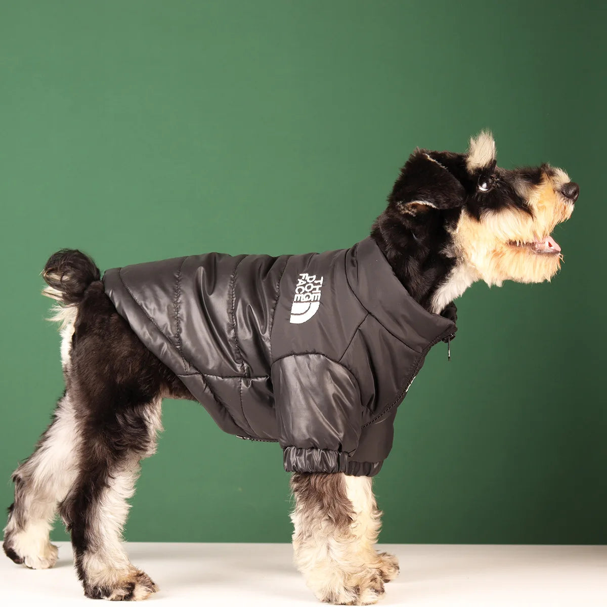 Cozy Canine Winter Jacket