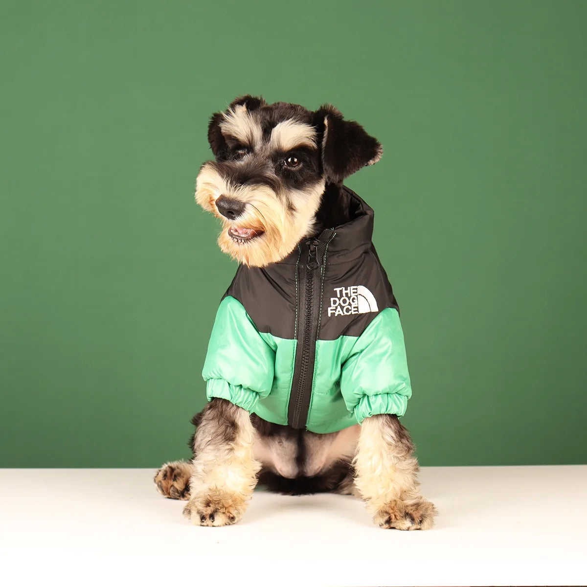 Cozy Canine Winter Jacket