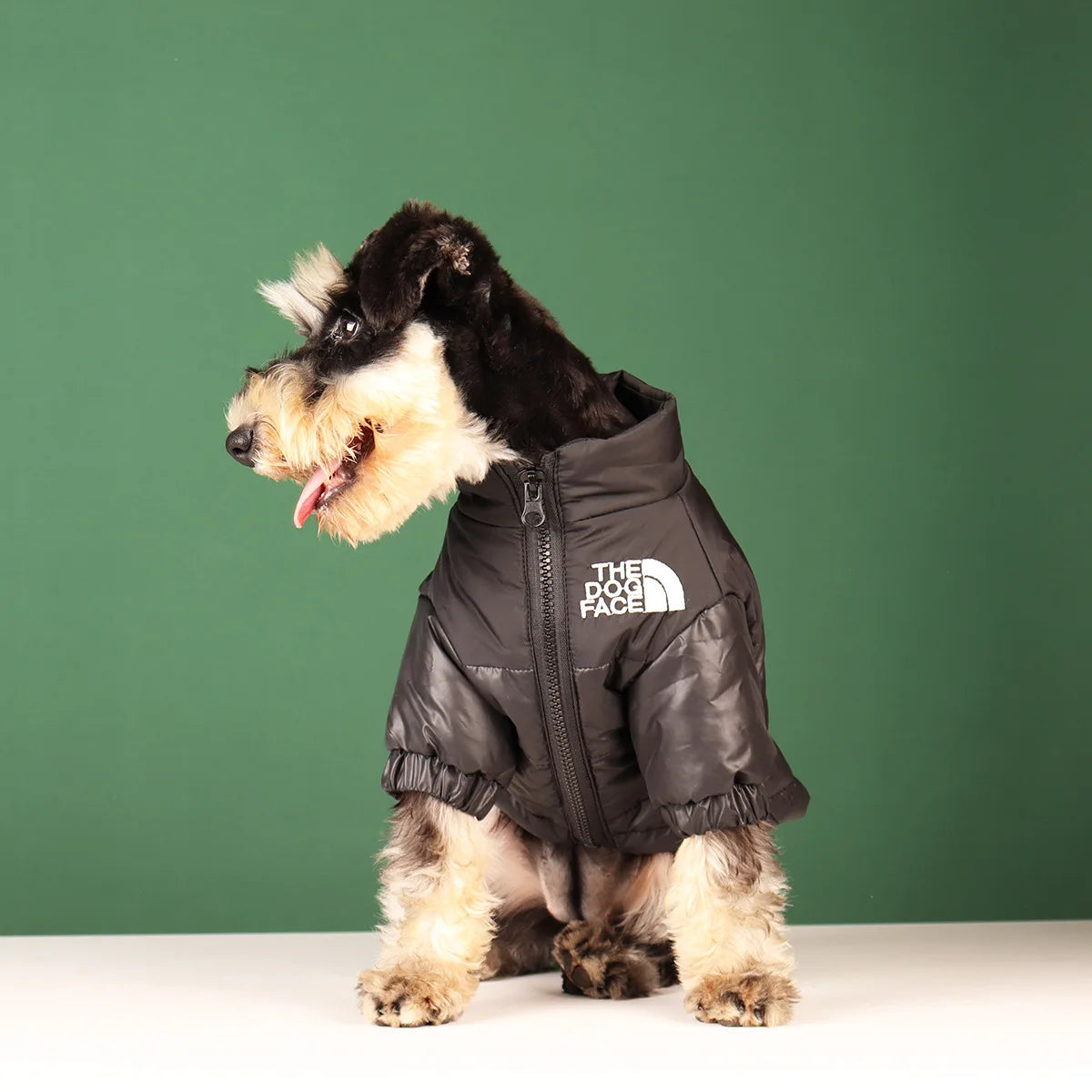 Cozy Canine Winter Jacket