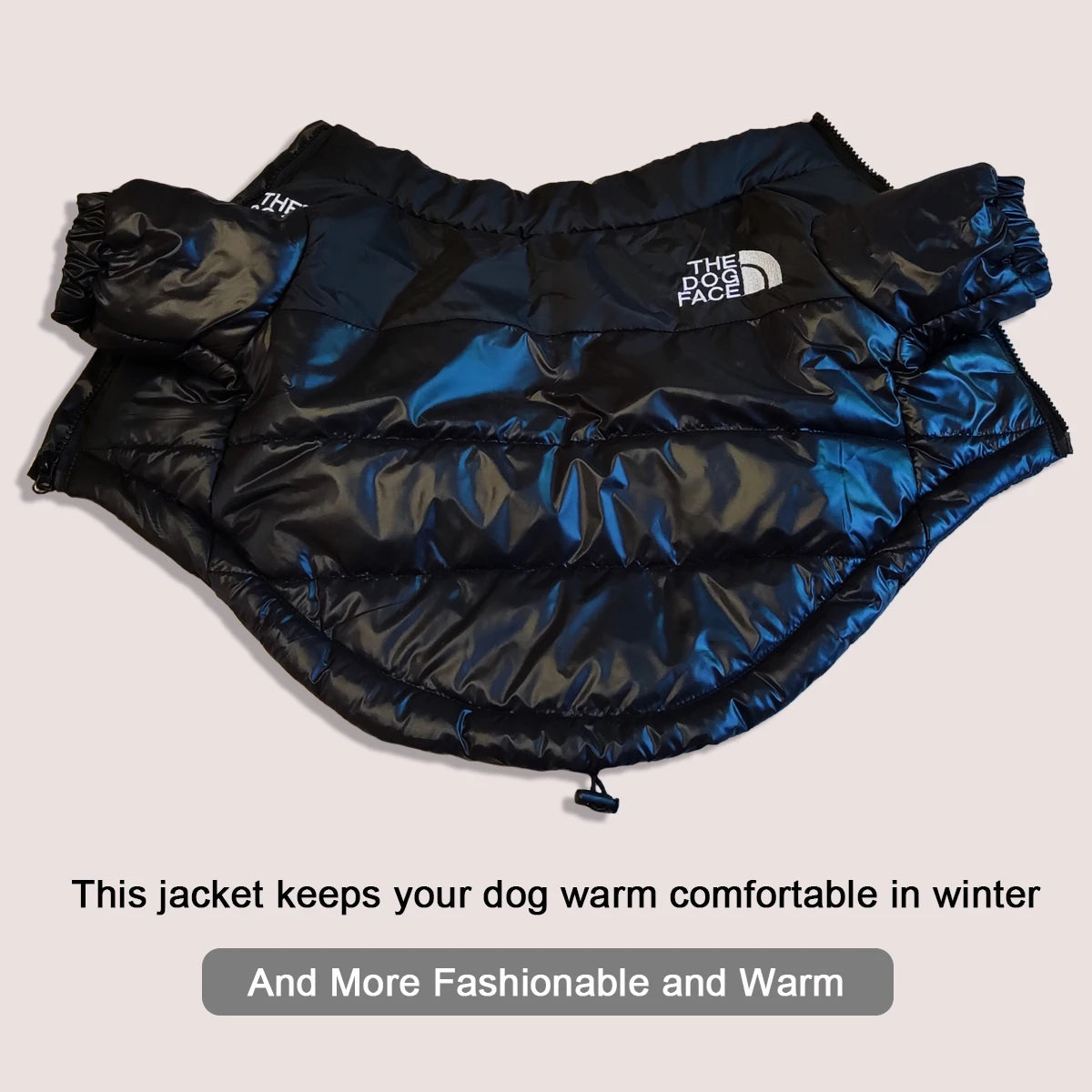 Cozy Canine Winter Jacket